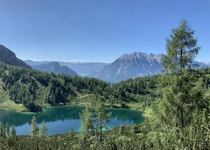 - Penthouse Grimming D7-1 By Aa Homes *