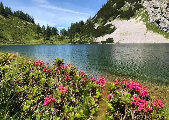 - Penthouse Grimming D7-1 By Aa Homes Tauplitz